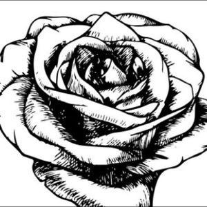 Meet your Posher, Marety